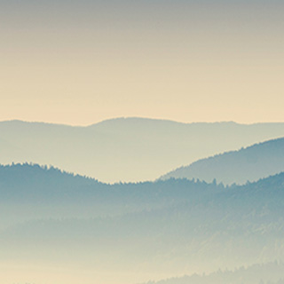 在线手机号轰炸机