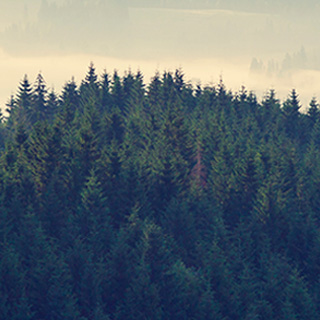 在线轰炸网页版